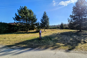 Leśna