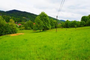 Zawoja