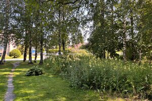 Untamontie 6, 28360 Pori