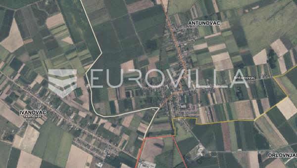 Antunovac