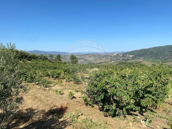 Aldeias,  PT