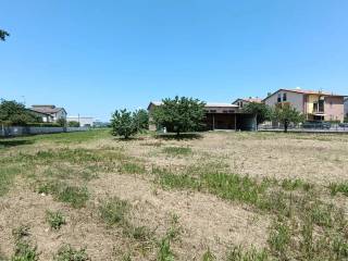 Torgiano,  IT