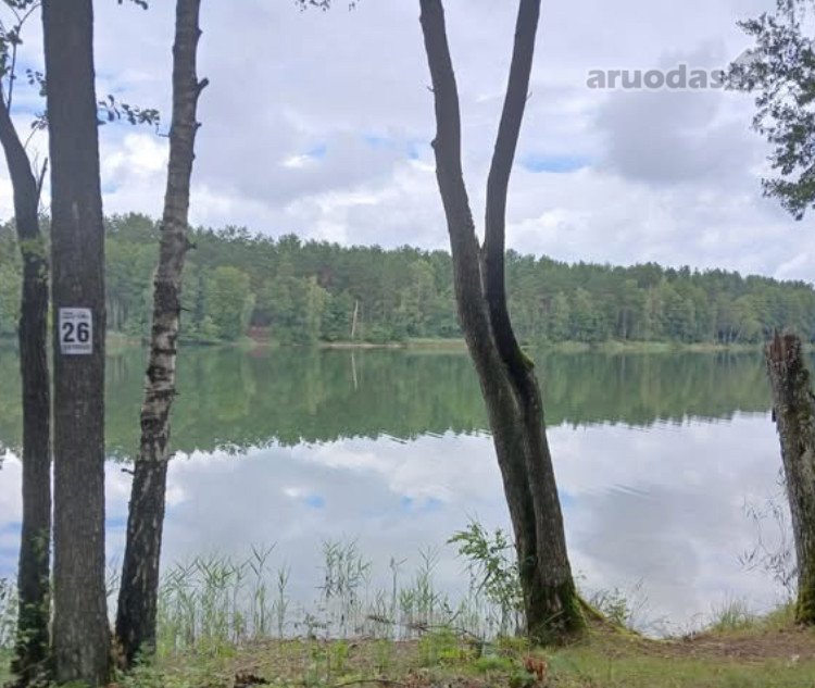 Druskininkų sav., Grūto k. Ilgio g.