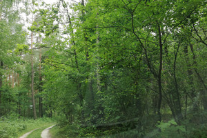 Tomaszów Mazowiecki