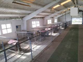 Langreo,  ES