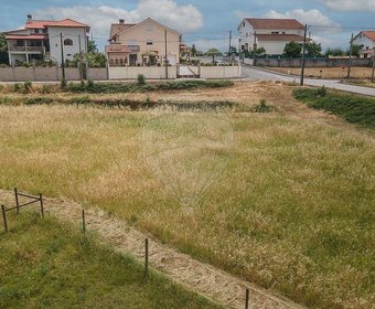 Santa Comba Dão,  PT