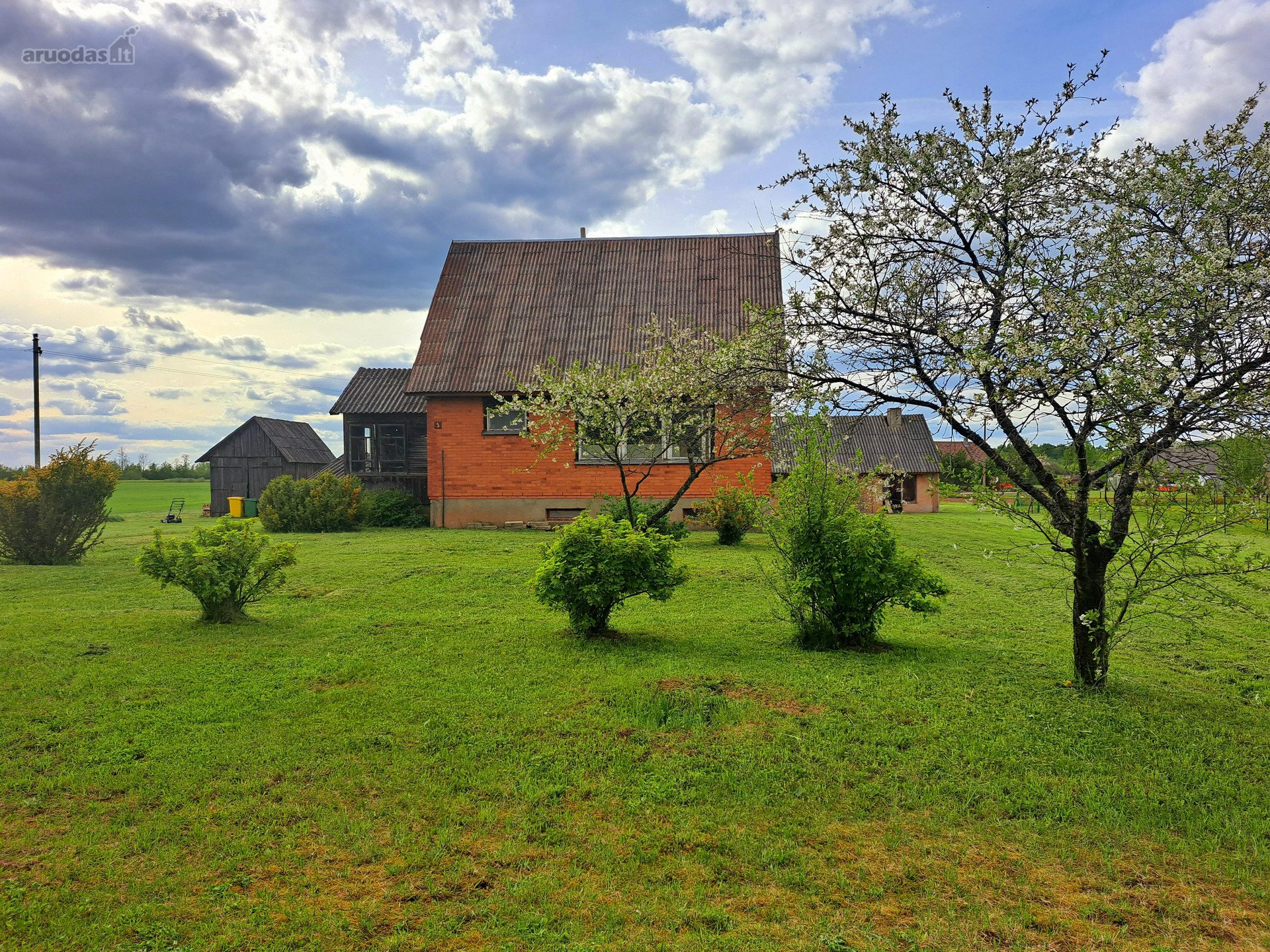 Biržų r. sav., Papilio mstl. Vyšnių g.