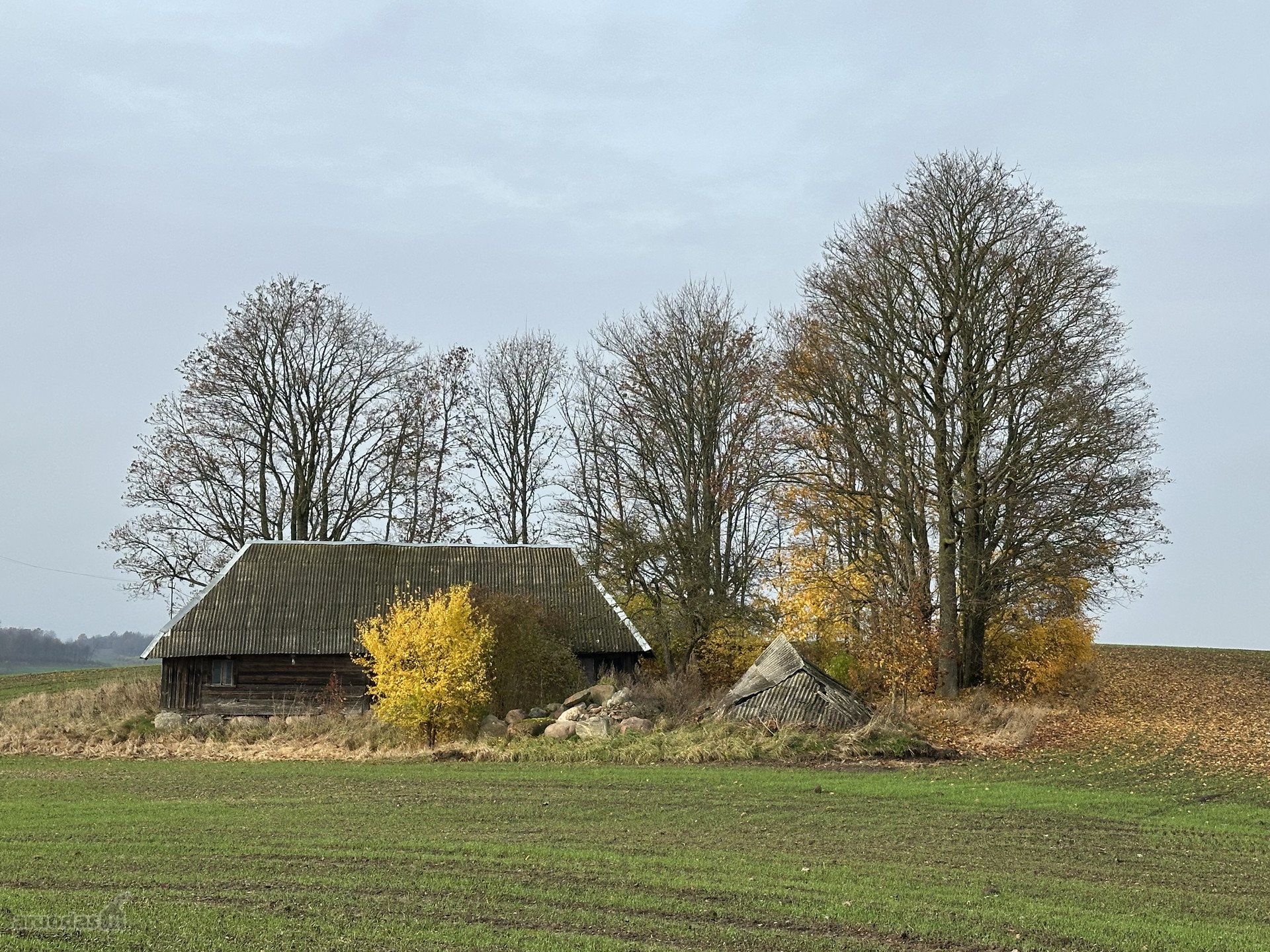 Kelmės r. sav.Žalakių k.