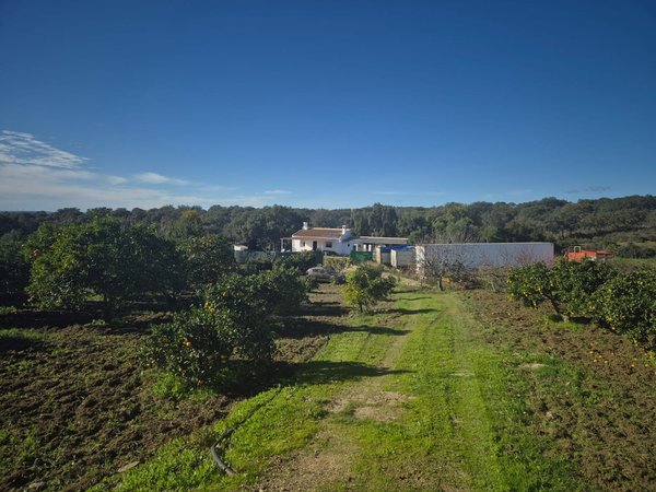 Castilblanco de los Arroyos,  ES