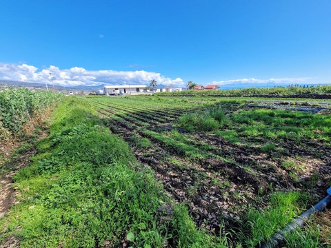 Giarre,  IT