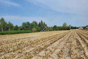 Piaseczno