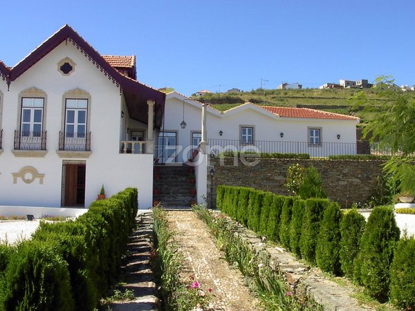 Ervedosa do Douro,  PT