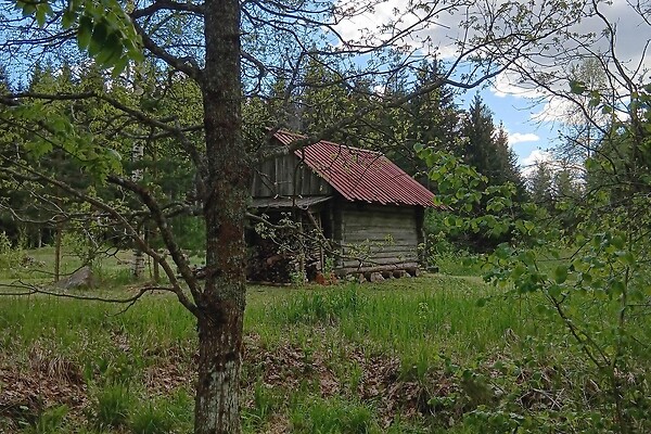 plot for sale, residential land - Kassinurme, Jõgeva vald, Jõgevamaa