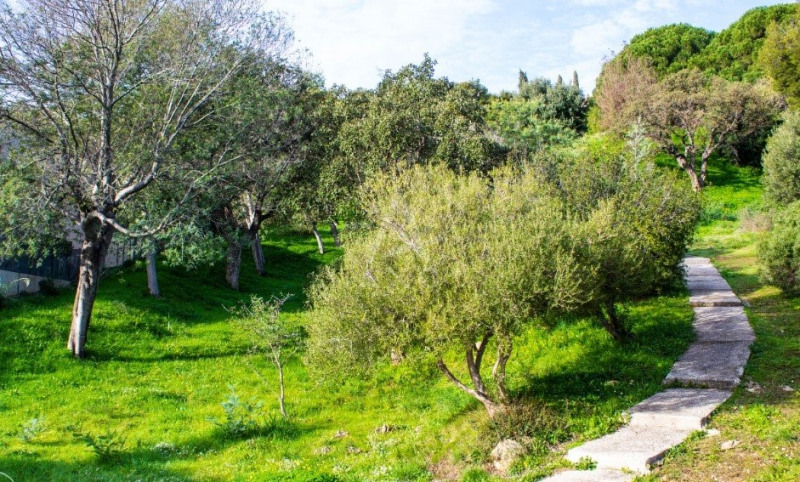 Quartier Nord Est à Bormes-les-Mimosas (83230)