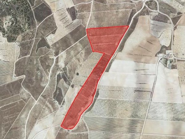 Jumilla,  ES