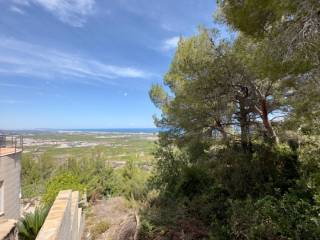 Oliva,  ES
