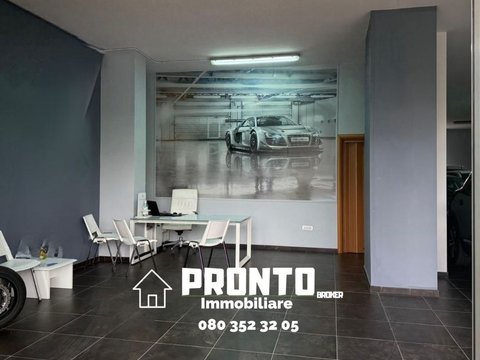 Altamura,  IT