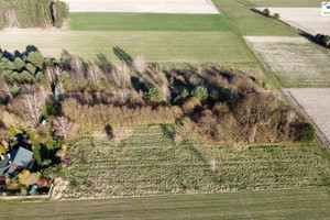 Koło