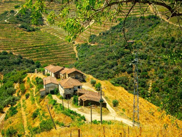 Ervedosa do Douro,  PT