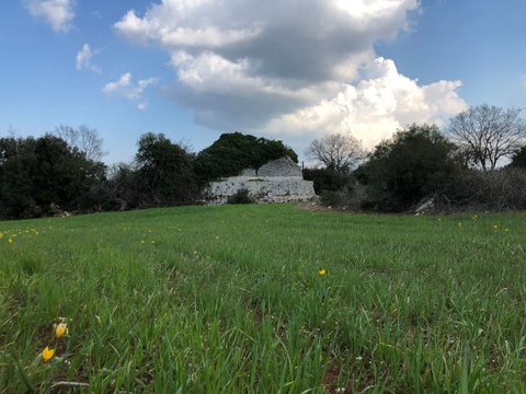 Putignano,  IT