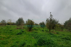 Brwinów