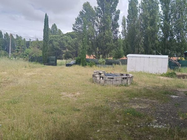 Tudela de Duero,  ES