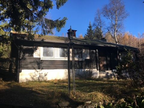 Lauåsvegen 21, Maura