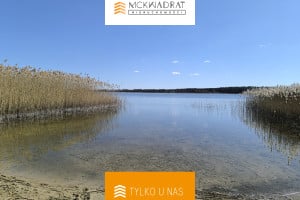 Rajgród