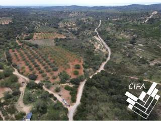 Cervera del Maestre,  ES