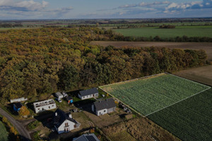 Leśna