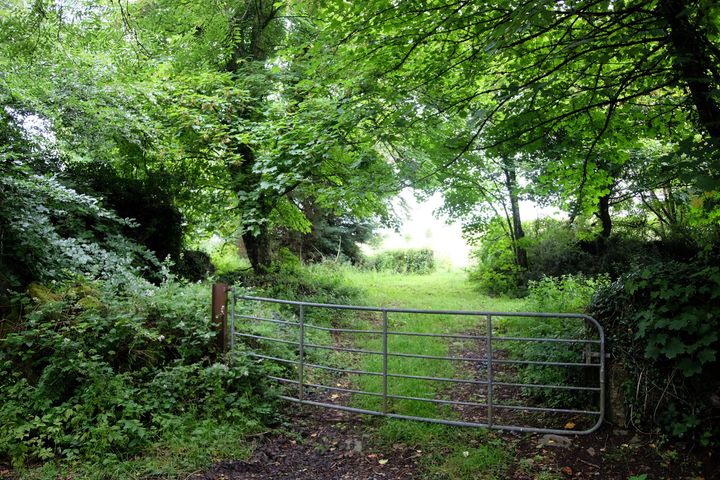 Ballycourheen, Loughrea, Co. Galway