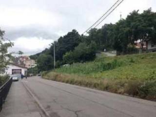 Tineo,  ES