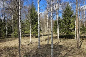 Keskikuja, Koskenkylä, Rovaniemi