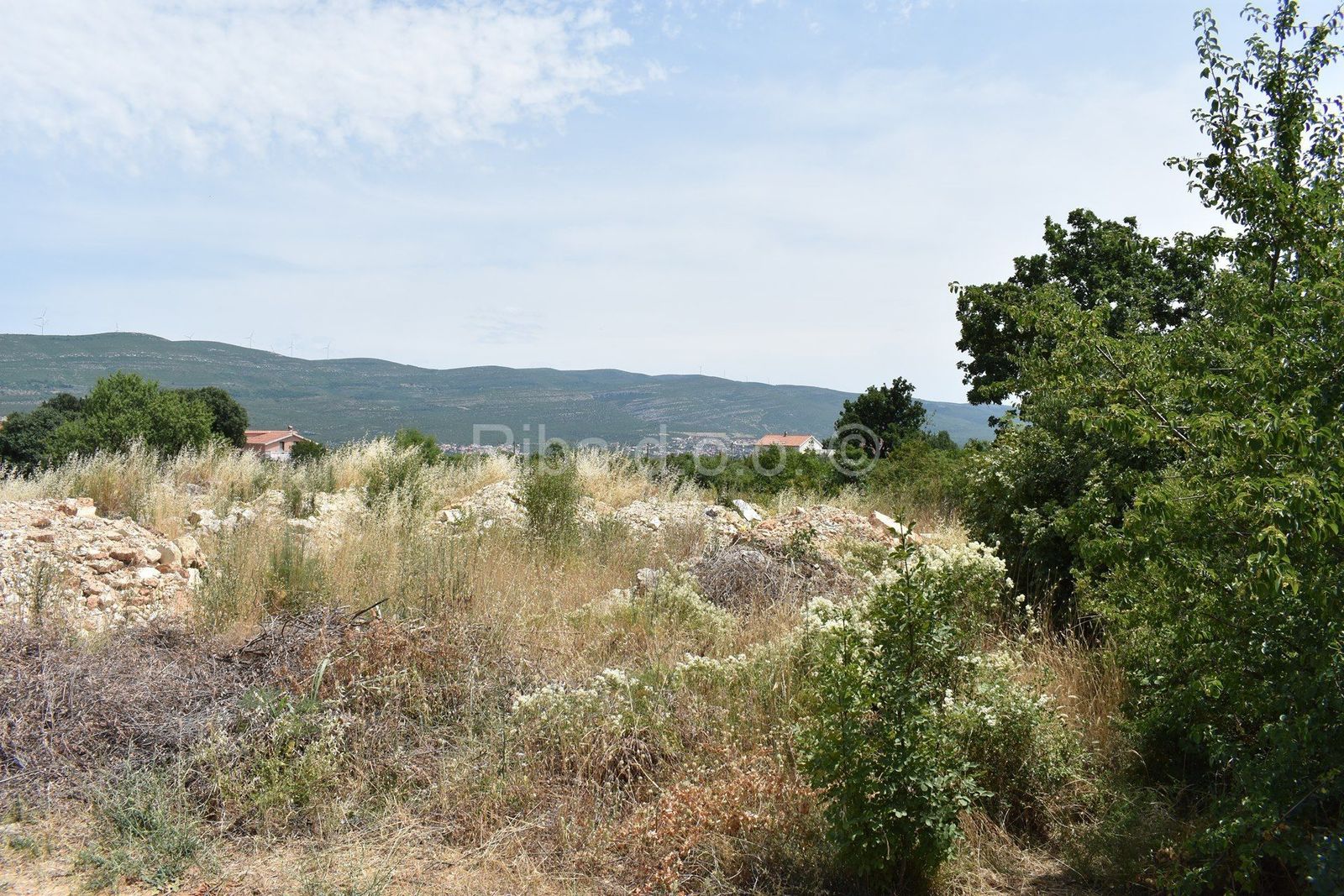 Zadar, Novigrad