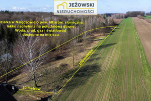 Nałęczów