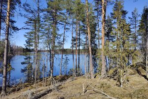 Kirkkoportti 321, Viilajärvi, Heinola