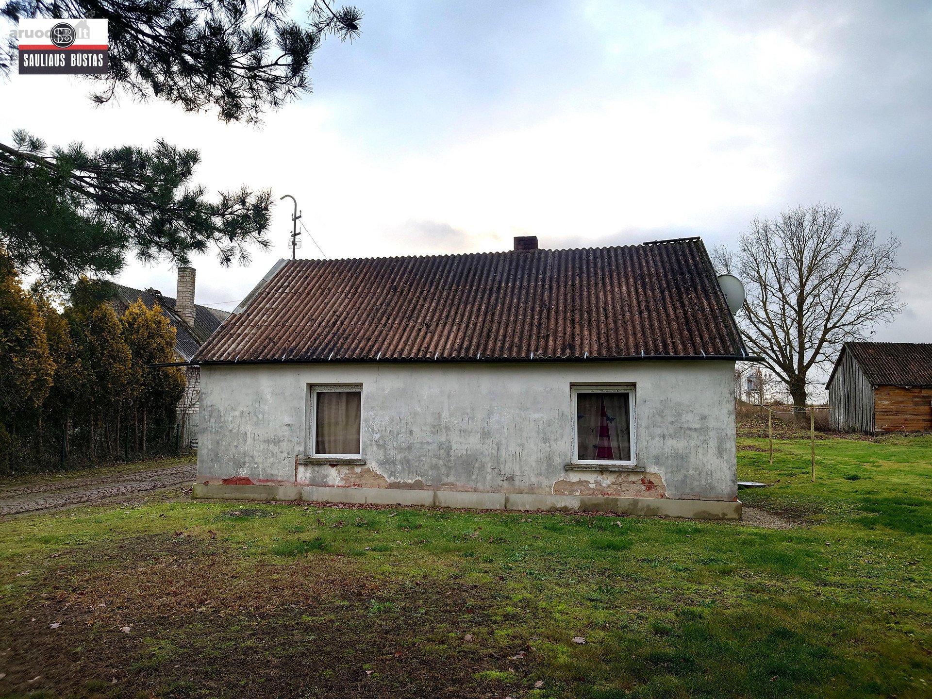 Pakruojo r. sav., Medikonių k. Saulėtekio g.