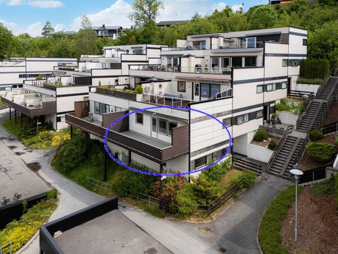Borgelia 24, Skien