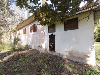 Cittanova,  IT