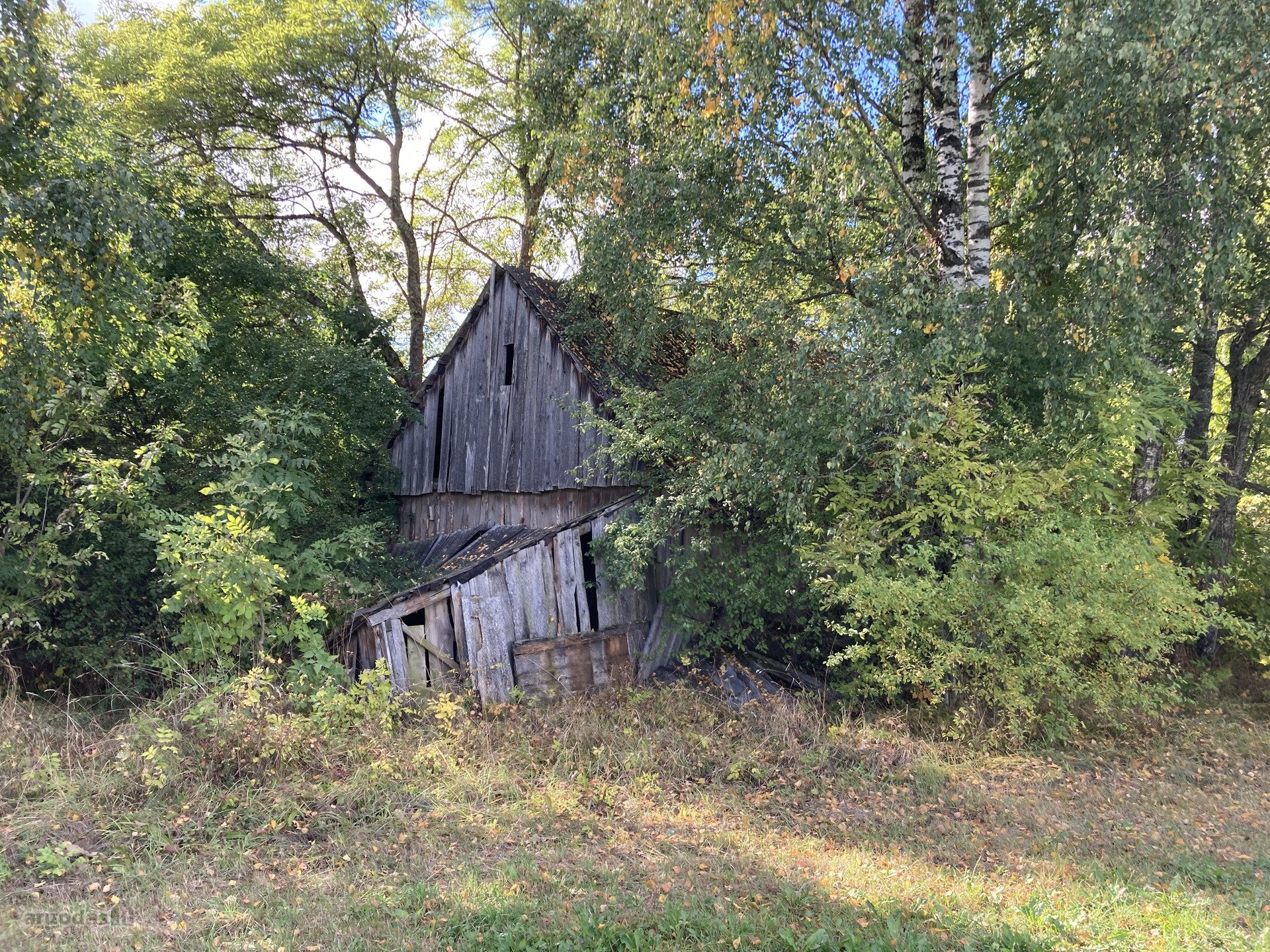Rokiškio r. sav., Kalvių k. Tvenkinio g.