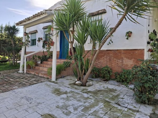 Castilblanco de los Arroyos,  ES