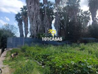Sueca,  ES
