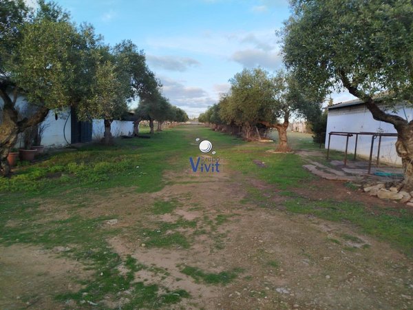 Alcalá de Guadaira,  ES