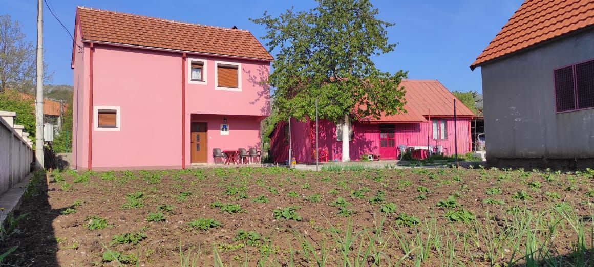 Central Region, Cetinje