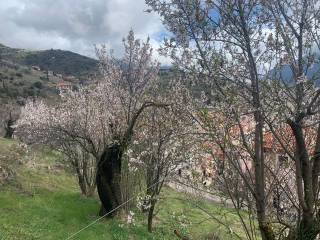 Arachova,  GR