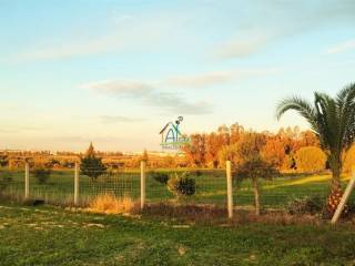 Almonte,  ES
