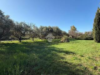 Giulianova,  IT