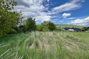 Wilkowice