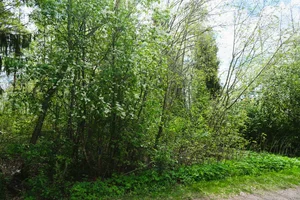 Pietiläntie 9, Riihenmäki, Mäntsälä