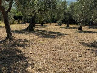 Guidonia Montecelio,  IT